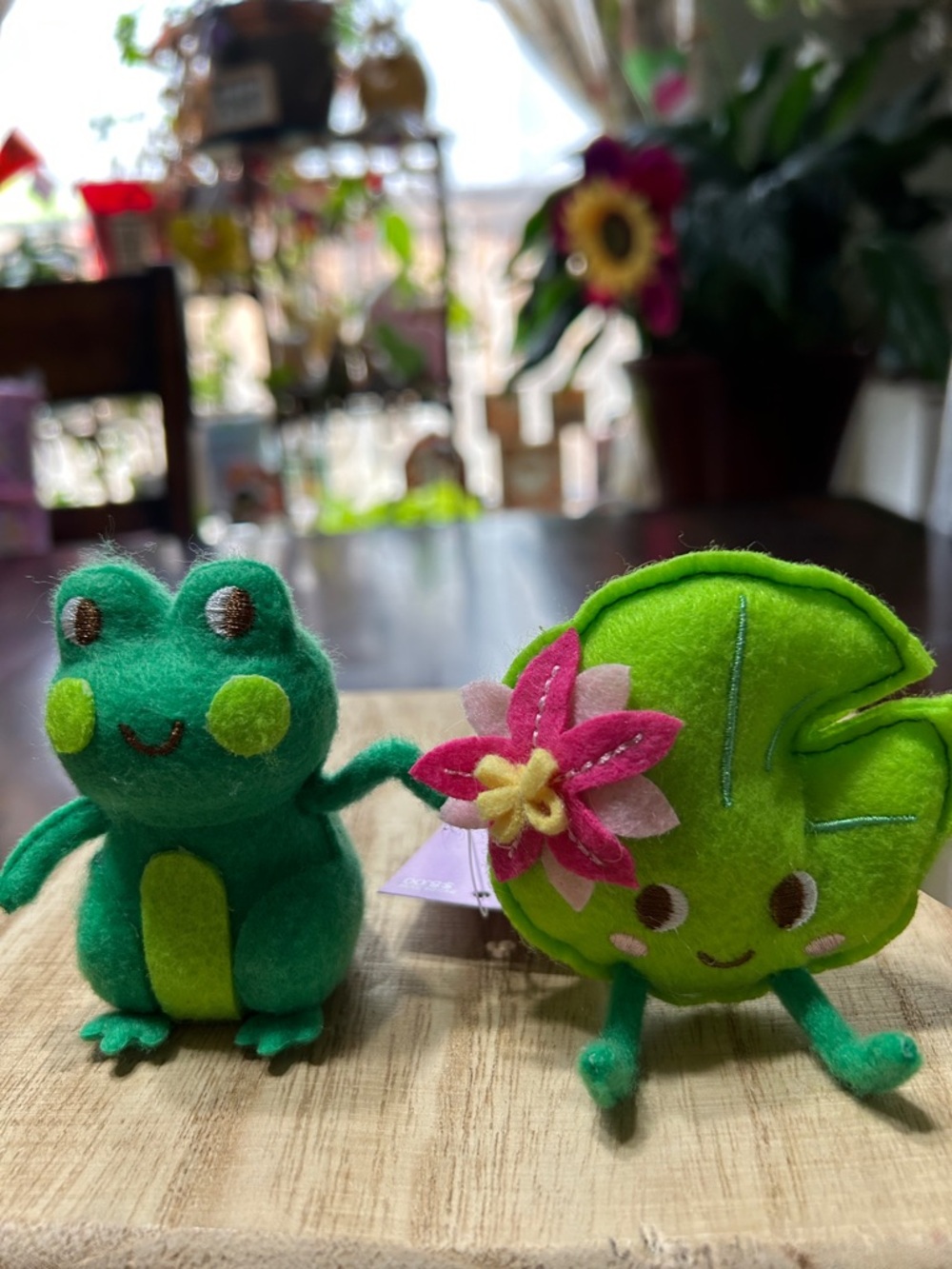 Spritz Frog and Lily Pad Duo Felt Figures with Embroidered Expressions NWT 2024